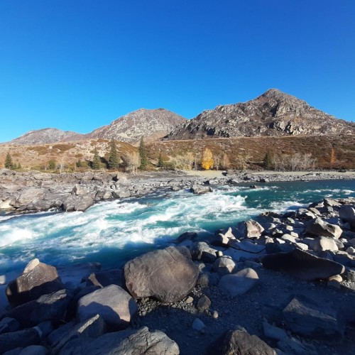 Алтайская классика: обзорный автотур по знаковым локациям