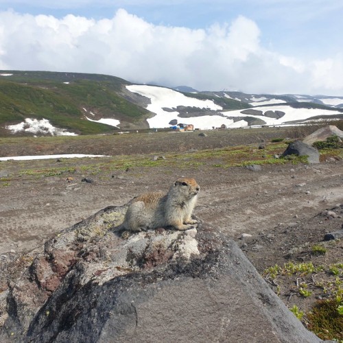 Активный отдых на Камчатке в мини-группе: треккинги, сплавы, квадроциклы