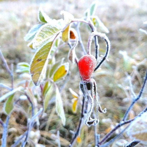 Камчатский максимум: конные прогулки, джипы, вулканы и рыбалка в Тихом океане