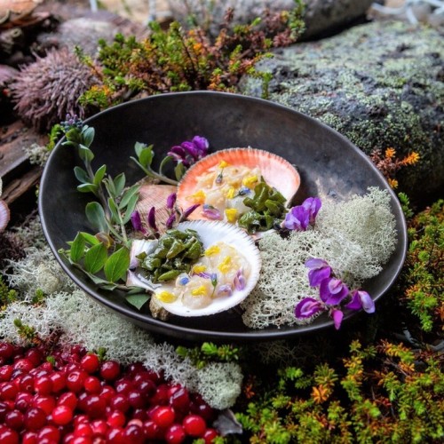 Вкус Севера: гастрономический тур по Кольскому полуострову для вашей компании