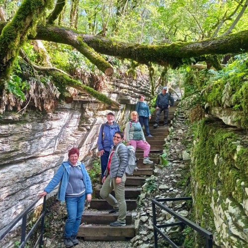 Лёгкий треккинг в субтропиках с проживанием в гостинице в Адлере