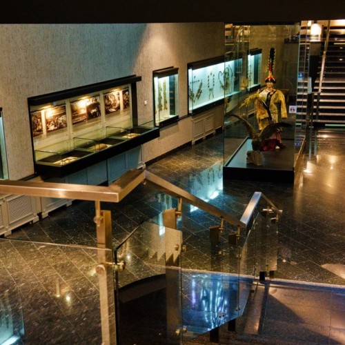 Зимний Алтай: снежные горы, незамерзающие озёра и тысяча лебедей