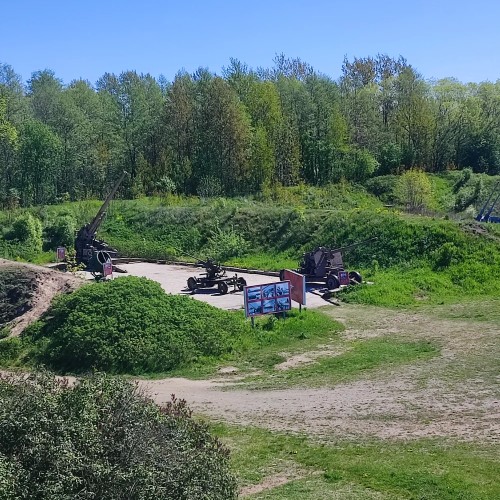 Экскурсия 3 в 1: Кронштадт + батарея Демидов + заказник Западный Котлин