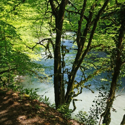 Лёгкий треккинг в субтропиках с проживанием в гостинице в Адлере