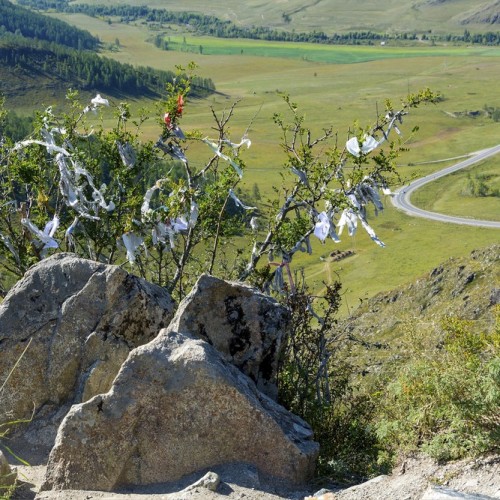 Интернет-детокс и отдых от забот и суеты в горах Алтая