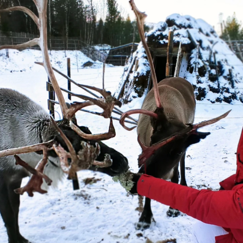 Териберка, Огни Имандры и столица Русской Арктики с проживанием в купольном отеле (мини-группа)