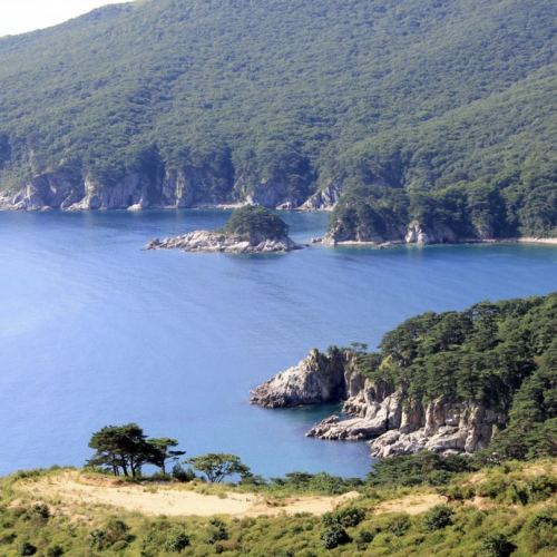 Гастрономическое путешествие в русский Сан-Франциско