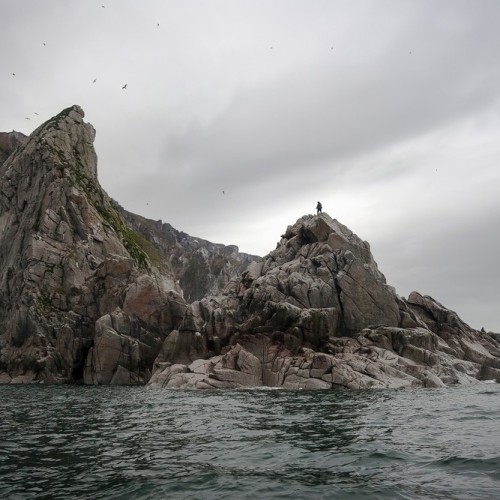 VIP-круиз с экспертами и музыкантами от Камчатки до Чукотки (всё включено)