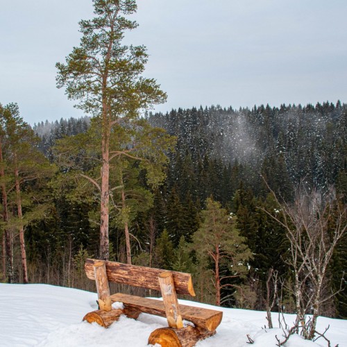 Хаски, «Рускеала», водопады: мини-путешествие в Карелию из Санкт-Петербурга на автобусе