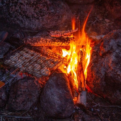 Сплав-перезагрузка на каяках в парке «Монрепо»