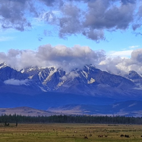 К ледникам и озёрам: треккинг-тур по Алтаю в мини-группе