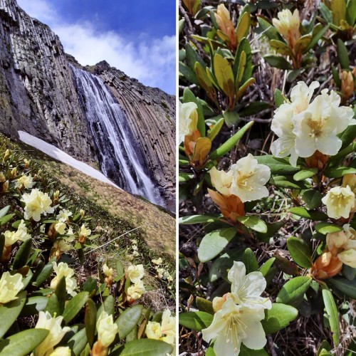 Лёгкий треккинг в Приэльбрусье с проживанием в гостинице