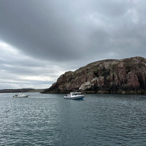 Уик-энд на Кольском: дегустация морепродуктов, Териберка, киты и экскурсия по Мурманску