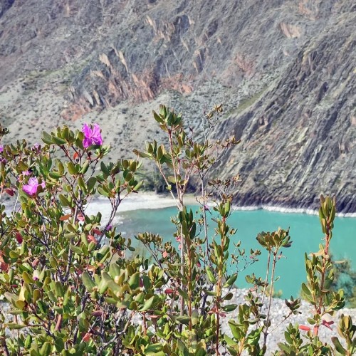 Чуйский тракт за 1 день: экскурсия-конструктор