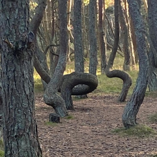 С заботой о себе: спа-отдых на Балтике с экскурсиями, прогулкой на яхте и роскошными ужинами