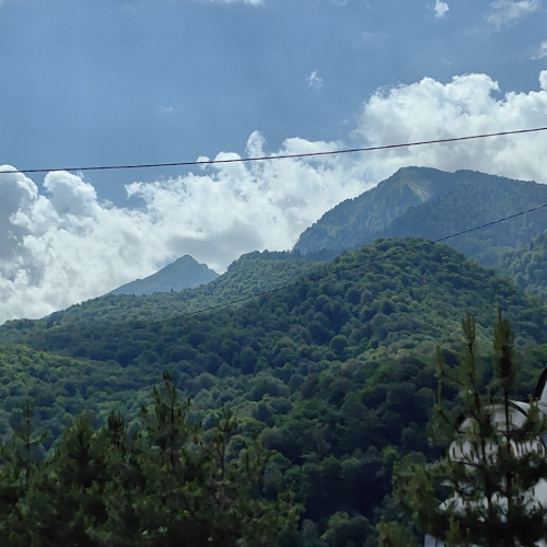 Трансформация в горах Сочи: практики с психологом, пикник, наблюдение за звёздами и фотосессия