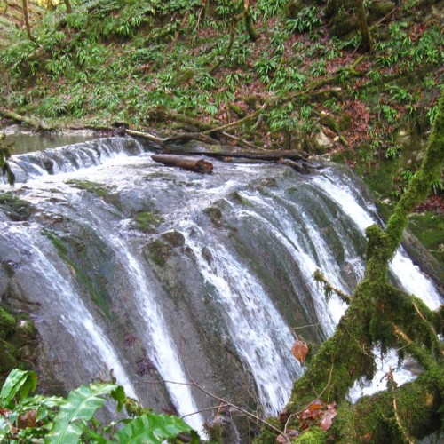 Женское счастье: отдых, правильное питание и проживание с видом на горы