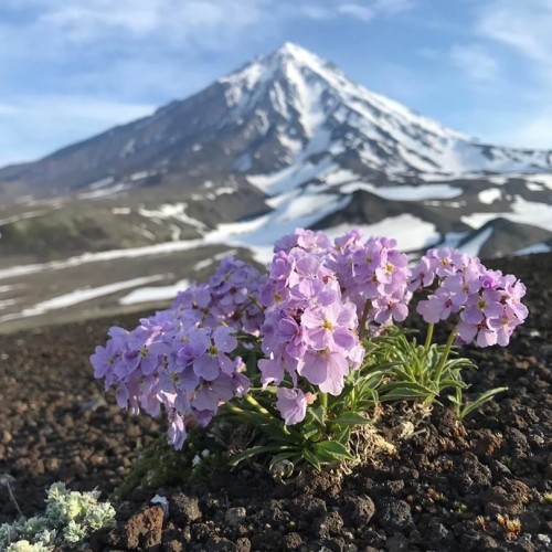 На Камчатке — вкусно есть: гастротур с рыбалкой и крабовой вечеринкой у океана
