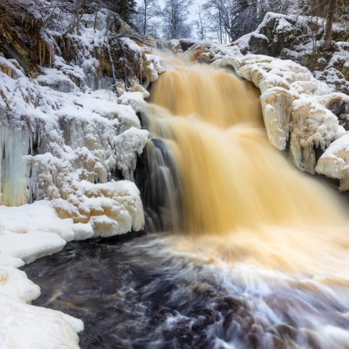 На «железном коне» по Карелии: велопрогулки по природным достопримечательностям