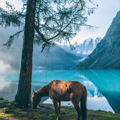 Насыщенное авто-пешее путешествие по Горному Алтаю