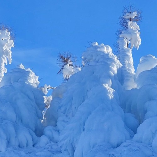 На выходные к Байкалу: Малое Море, Тажеранские степи и река Бугульдейка