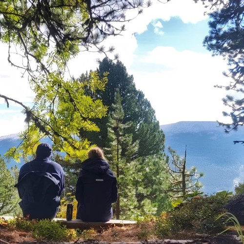 Верхом по Алтаю: конный тур для новичков с палатками (всё включено)