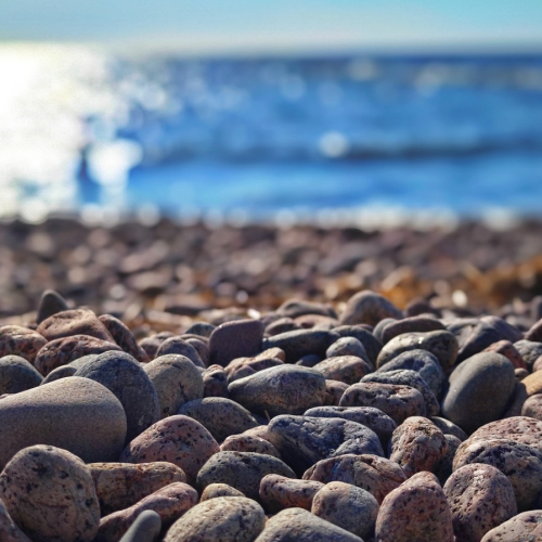 К форту «Красная горка» и «Андерсенграду» — из Петербурга