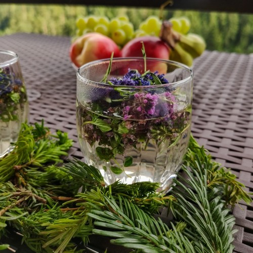 Треккинг-тур в Архыз с комфортом: прогулки в горах налегке с проживанием в гостевом доме