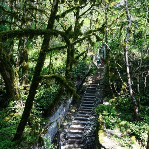 Лёгкий треккинг в субтропиках с проживанием в гостинице в Адлере