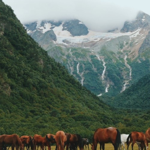 По тропам Дигории в гости к аланам