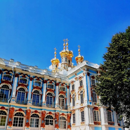 Поиск клада в Царском Селе