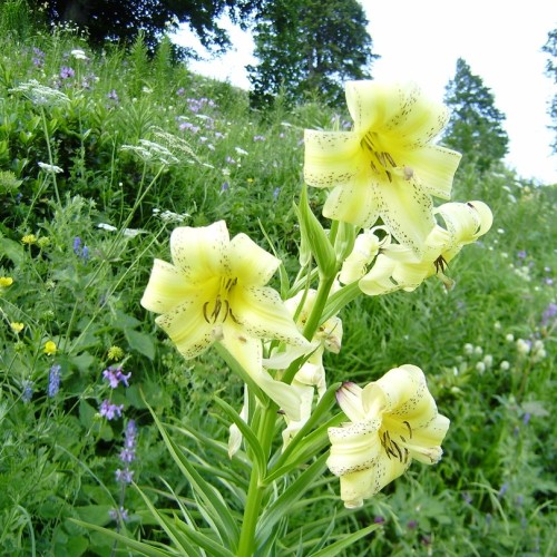 Маршрут №30: поход через горы к морю