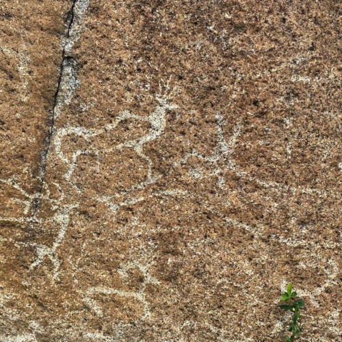 Загадки алтайского Золотого кольца: Чуйский тракт, Телецкое озеро, Марс и другие топовые места