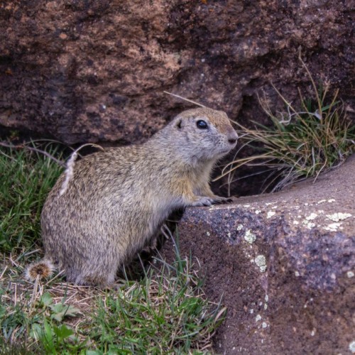 Прогулки по Домбаю: треккинги налегке к ущельям, горам и озёрам