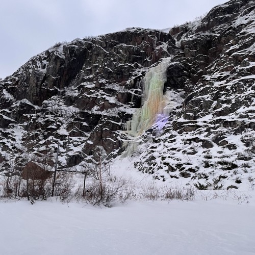 Своей компанией на Русский Север: Мурманск, Териберка, Кировск и саамы