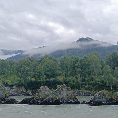 Сиреневые горы, Алтай и май: главные места во время цветения маральника в мини-группе (всё включено)