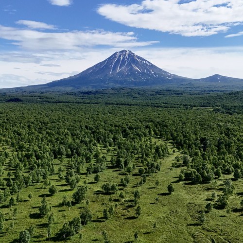 В мини-группе по Камчатке: вулканы, Тихий океан и дикие термальные источники