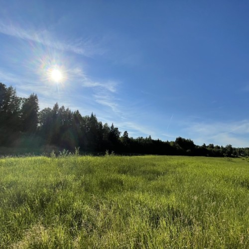 Детокс на Тверце: сплав на байдарках с посещением Торжка и «Василёво»