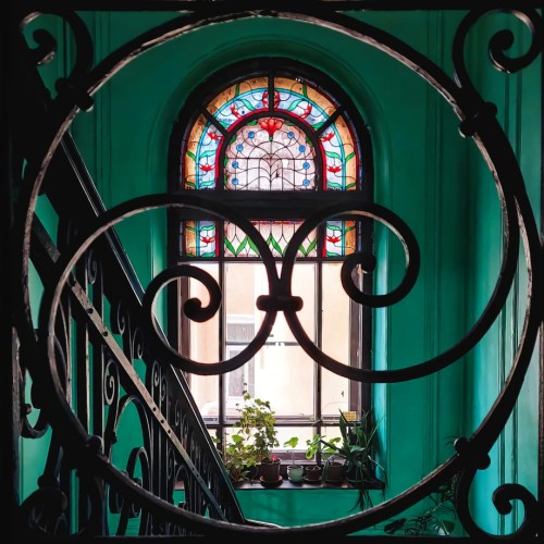 По закоулкам Петроградки — в гости к художникам