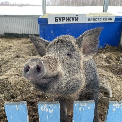 Гастротур с отдыхом в спа-отеле и обедом на загородной экоферме
