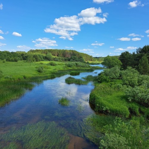 Подальше в лес: сплав на байдарках по реке Медведице